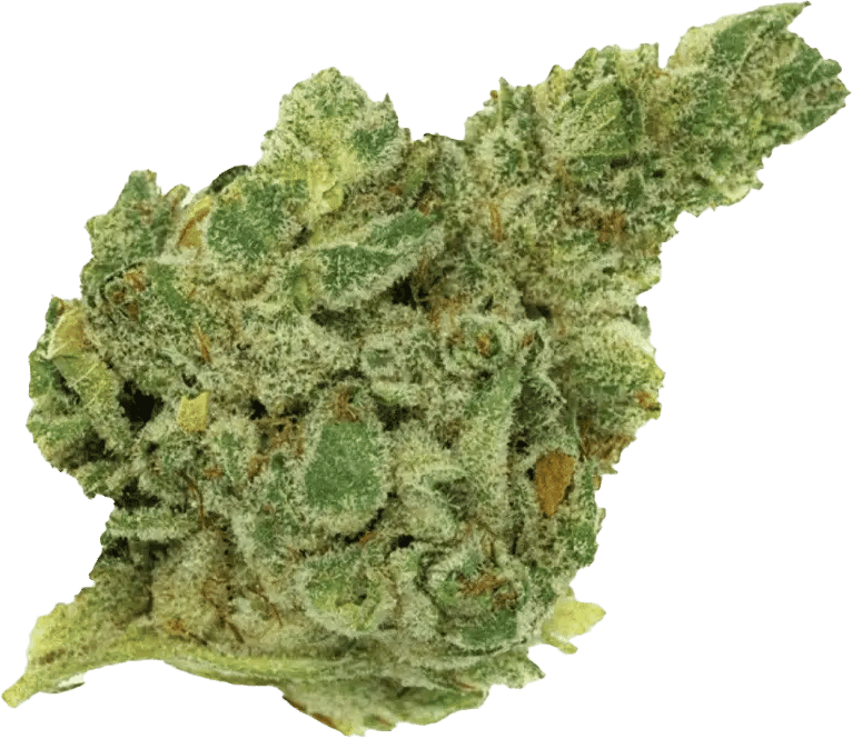 420 Natural 20/1 CA GG4 Gorilla Glue