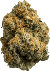 avaay 24/1 DID Do-Si-Dos