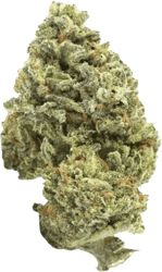 Canify Cannabis flos 20/1 UY Ku. Big Buddha