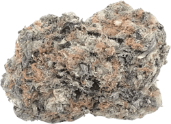 Canify Cannabis flos 18/1 UY Ku. Gorilla Glue 4