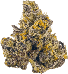 Drapalin 25/1 GM Lagom Gush Mints