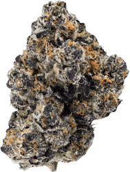 enua 25/1 SJ CA Splitter Gelato