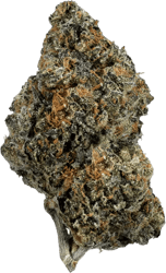 enua 21/1 SG CA Sherbert Glue