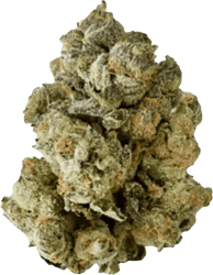 Gr&uuml;nhorn HGH 27/1 HGH