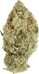 LOT 420 MLND PT Melonade