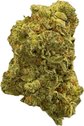 madrecan 18/1 Mac 2.0