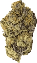 MEDMEN BCP T25 Black Cherry Punch