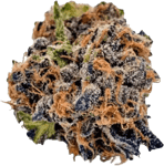 Nimbus 22/1 RZM Runtz Mintz