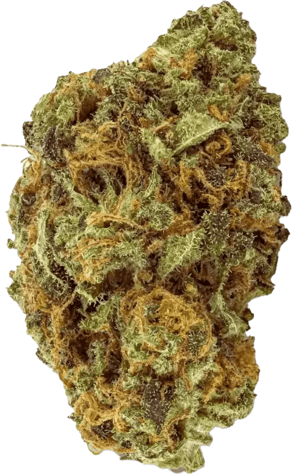 Remexian 16/1 Nordle