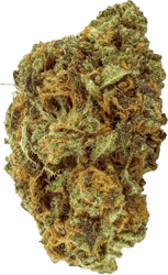 Remexian 16/1 Nordle