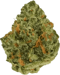 Remexian 27/1 OKC Orange Kush Cake