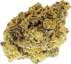 Remexian 30/1  JUC Jungle Cake