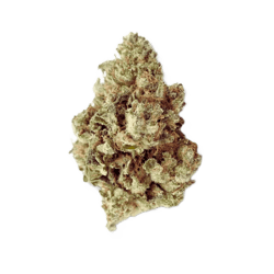 TRUU GT 27:01 Crumbled Lime