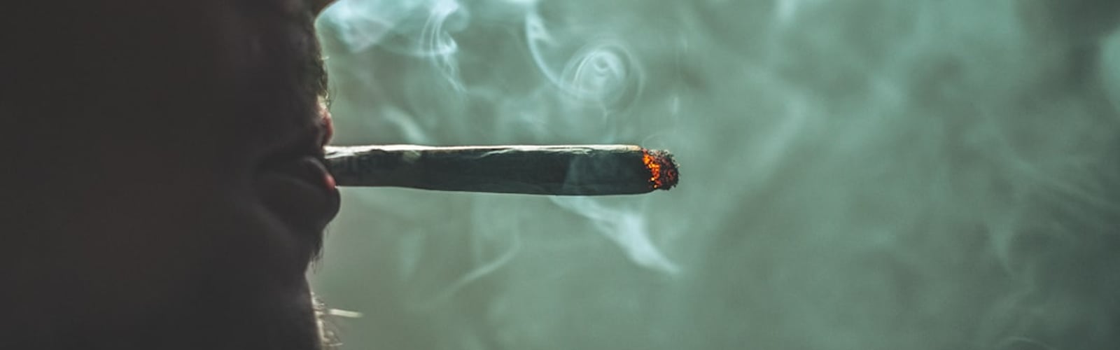 Wie wirkt Cannabis? Effekte auf K&ouml;rper & Geist