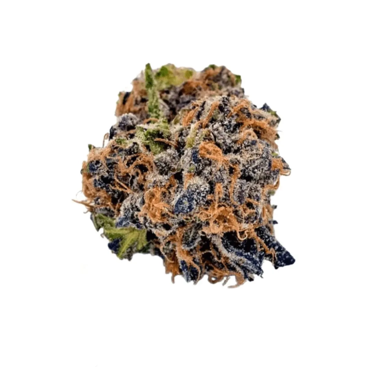 Canopy Bakerstreet 20/1 Hindu Kush