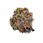 TRUU HS 21:01 Mandarin Sunset