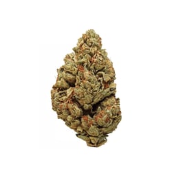 Cannamedical CM 24/1 PG Platinum Grapes