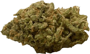420 Evolution 27/1 FLM CA Frozen Lemon Mints