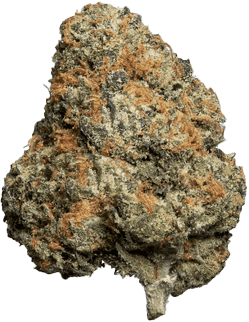 enua 22/1 JFG CA Jet Fuel Gelato