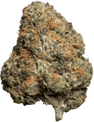 enua 22/1 JFG CA Jet Fuel Gelato