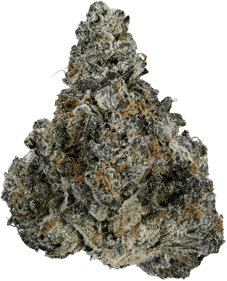 enua 22/1 Mac F CA MacFlurry