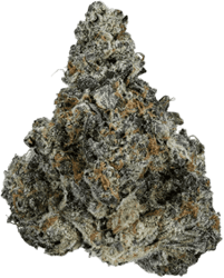 enua 22/1 Mac F CA MacFlurry