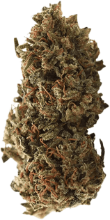 Medical Saints 24/1 ACB Acai Berry