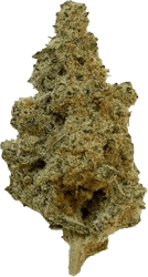 420 Evolution 25/1 CA MAC