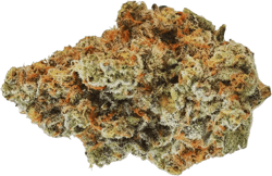 420 Evolution 27/1 CA WES Wedding Singer