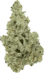 420 Evolution 30/1 CA MMI Miracle Mint