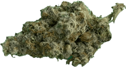 Cookies 2.0 Bubblegumz