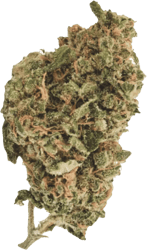 420 Sungrown 25/1 CA ZRP Zour Apple