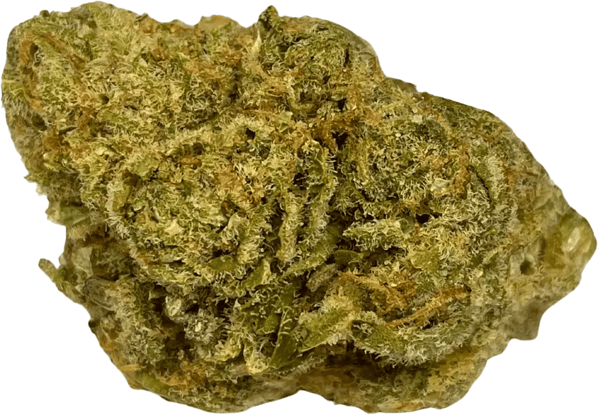 All Nations LT PT Lemon Tartz