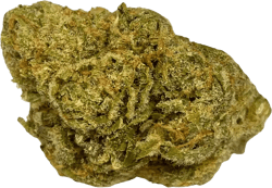 All Nations LT PT Lemon Tartz