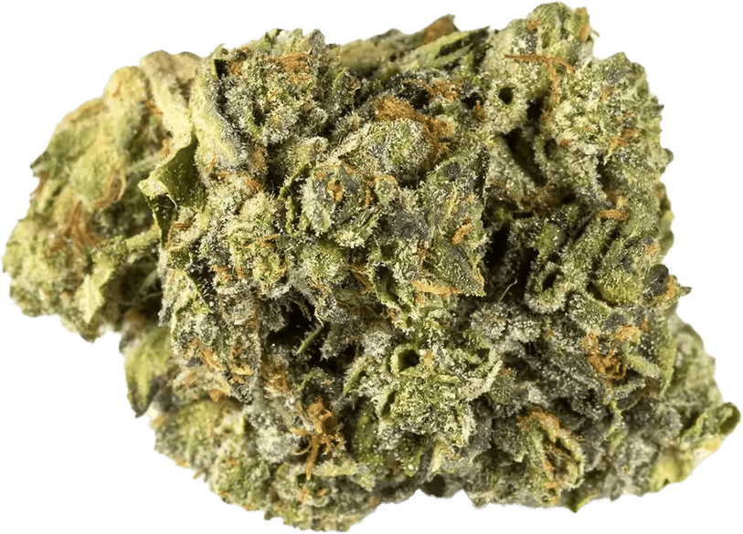 Aurora 24/1 PNK-CA Pink Kush