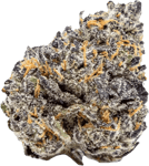 Bathera 25/1 Velvet Glove