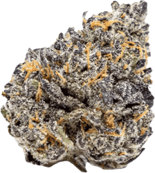 Bathera 25/1 Velvet Glove