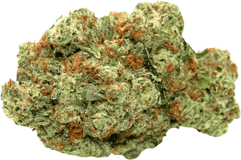 Canify Cannabis flos 23/1 PRT Ku. Black Cherry Pie