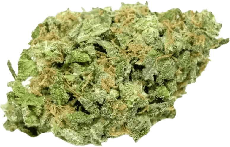 Cannabis 1A 16/1 White Widow