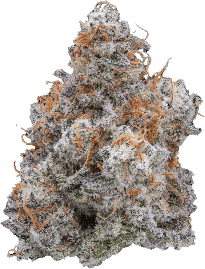 Cannamedical Hybrid Classic Mac 1