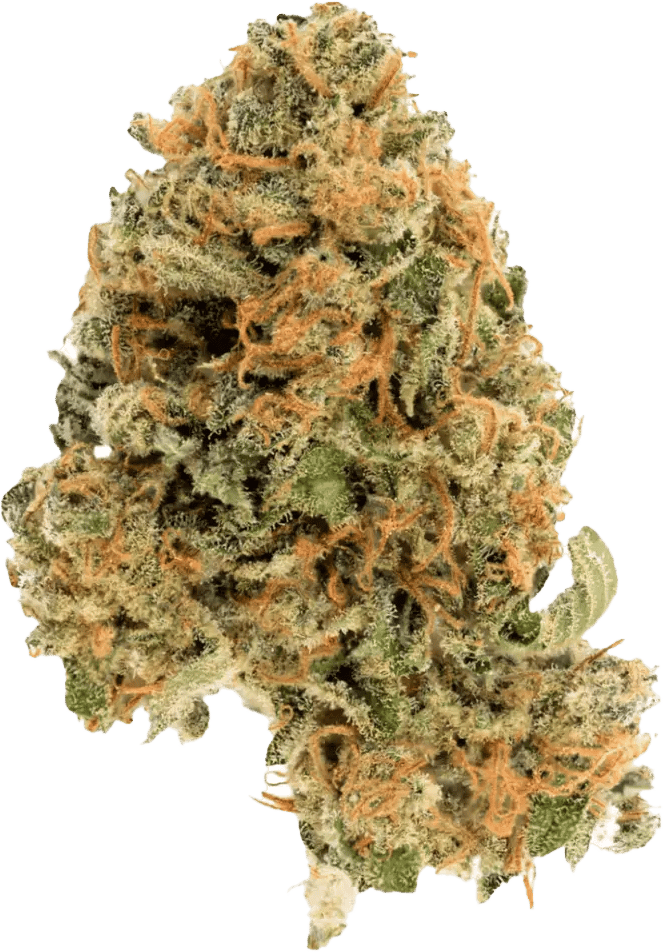Cannamedical Hybrid Ultra DK 28/1 Ghost Train Haze
