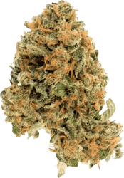 Cannamedical Hybrid Ultra DK 28/1 Ghost Train Haze