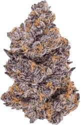 Cannamedical Hybrid Ultra NG Jealousy