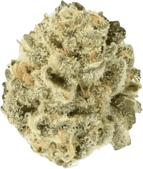 Cannamedical Indica forte El Jefe