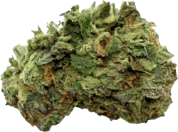 Cannamedical Indica forte MA Crazy Rntz