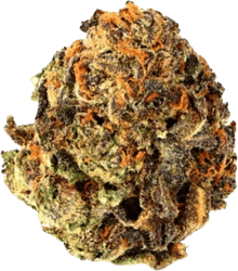 Cannamedical Indica Ultra Crazy Rntz