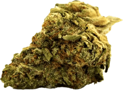 Cannamedical Sativa forte Tangie Chem