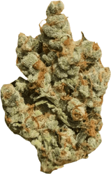 Cannamedical Indica classic AU El Jefe