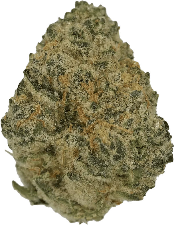Cannamedical Sativa Ultra NM Polar Cookies
