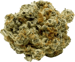 Canopy OGD 25/1 OG Deluxe